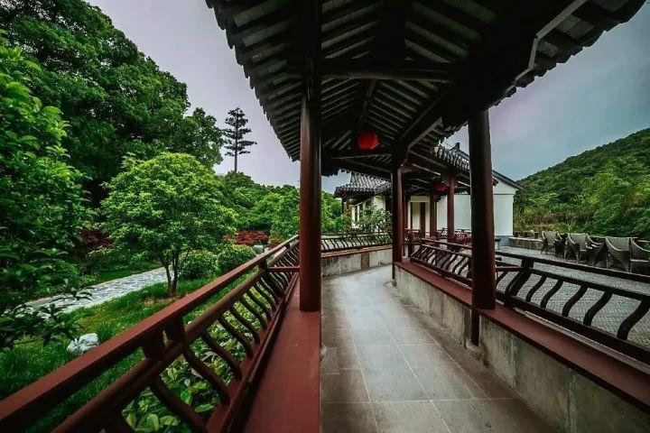 黎明守卫者