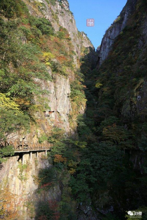 探索知识星球科目三是什么呀?,畅享精彩学习旅程